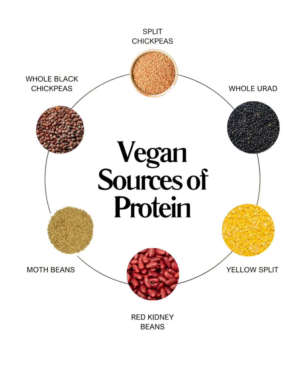 white and green modern vegan protein nutrition tips circle graph instagram post (1) photoroom